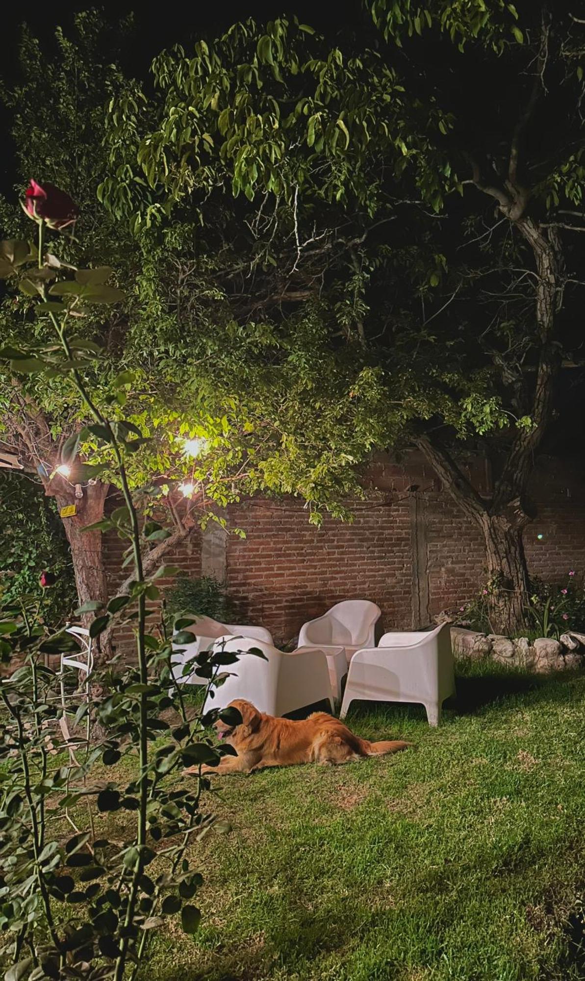 カファヤテ Casa Los Nogalesヴィラ エクステリア 写真