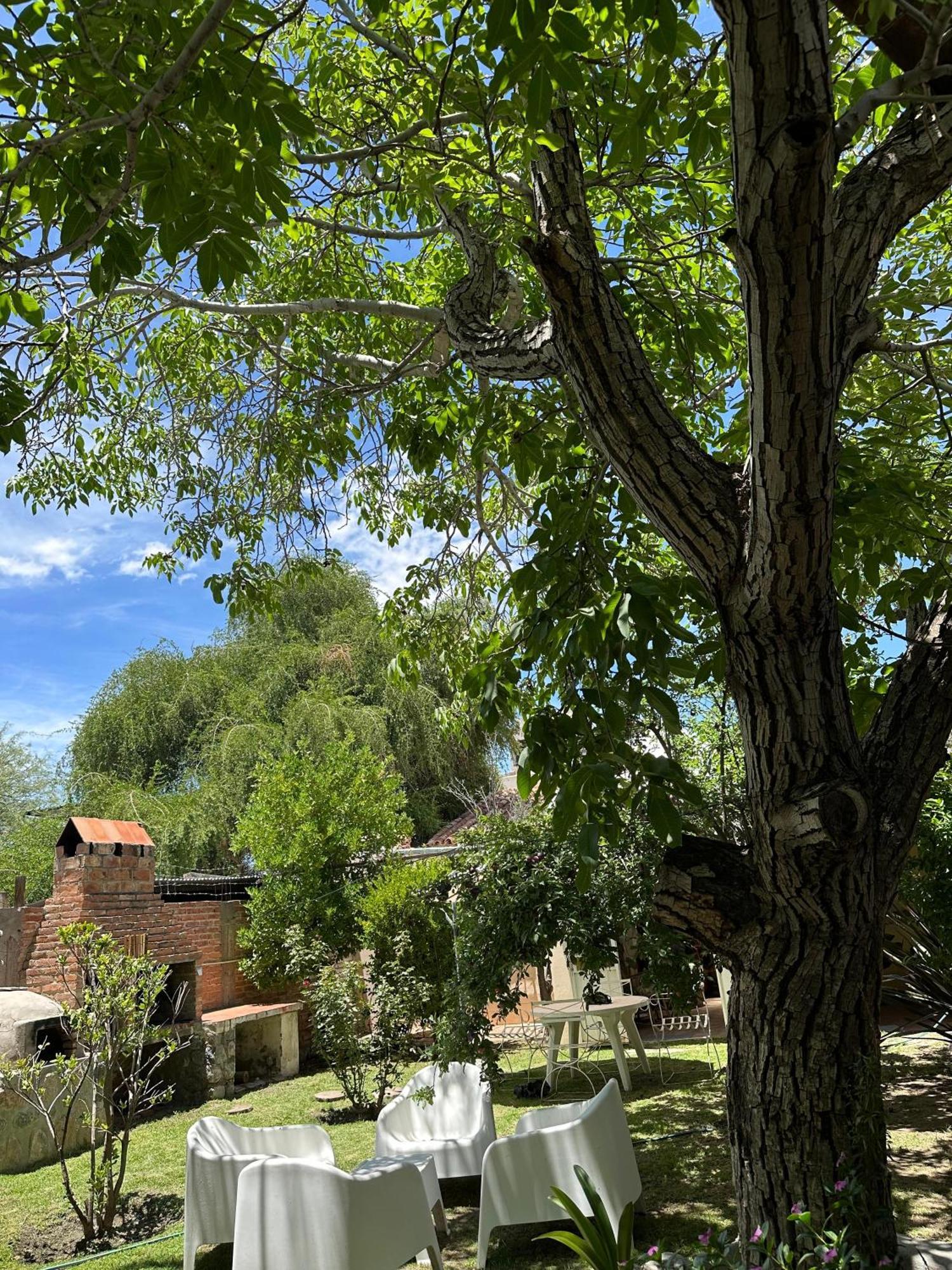 カファヤテ Casa Los Nogalesヴィラ エクステリア 写真